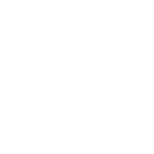 Dossier